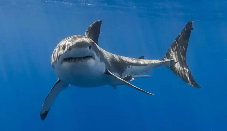 南京恒建顺建筑工程有限公司轮播图1